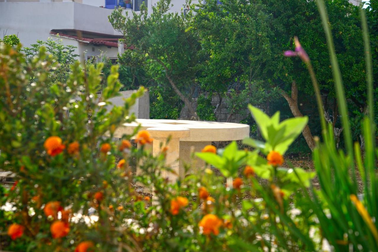Mpoulakis Apartment 46 كيساموس المظهر الخارجي الصورة